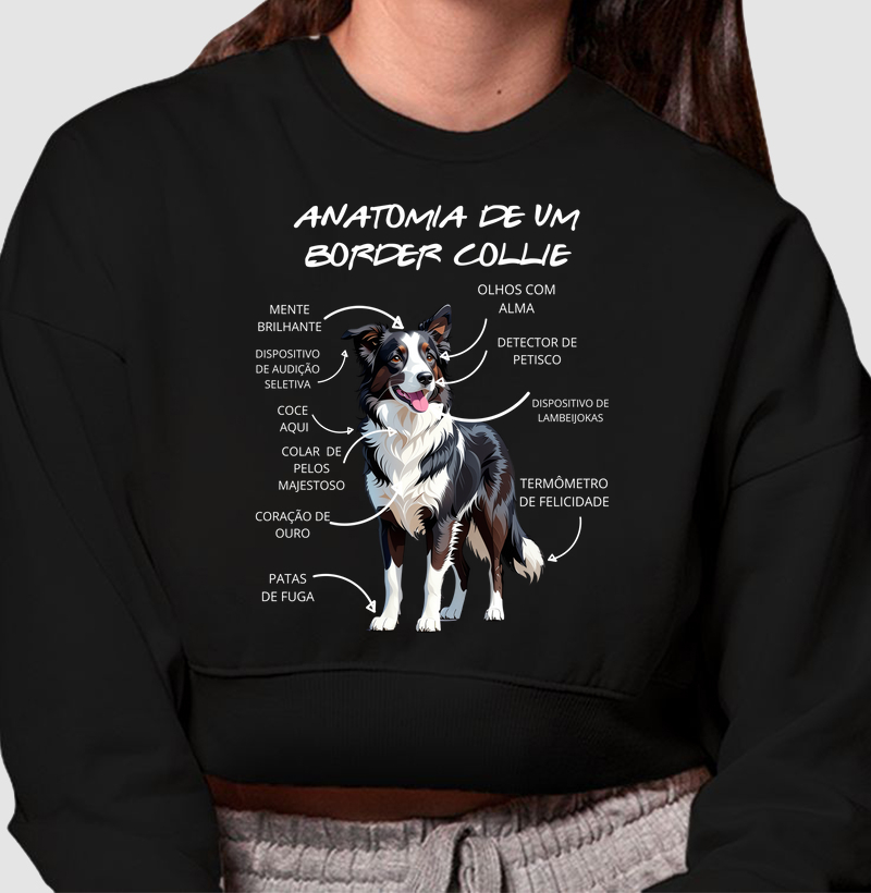 Anatomia de um border collie
