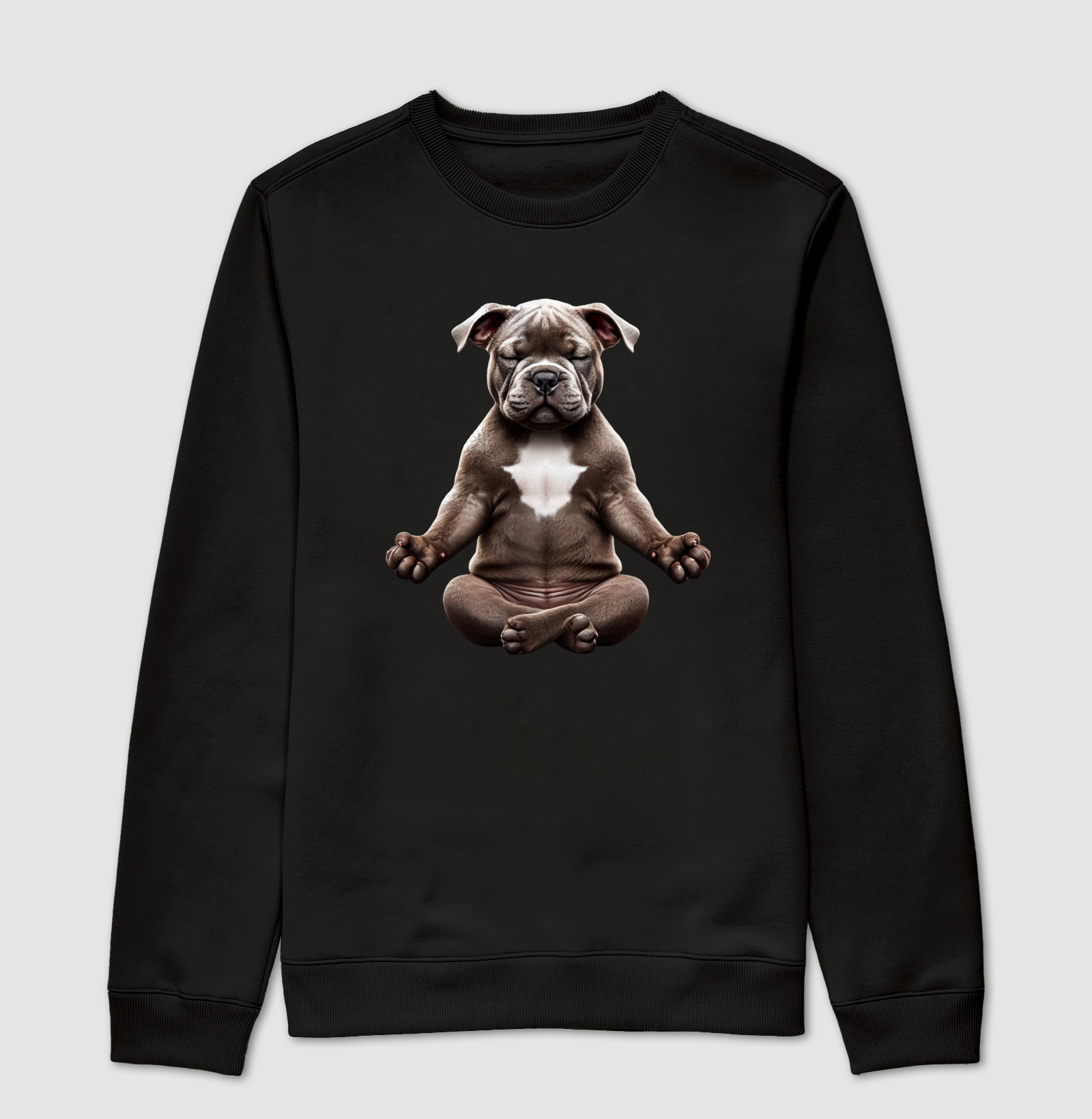 American Bully Meditando