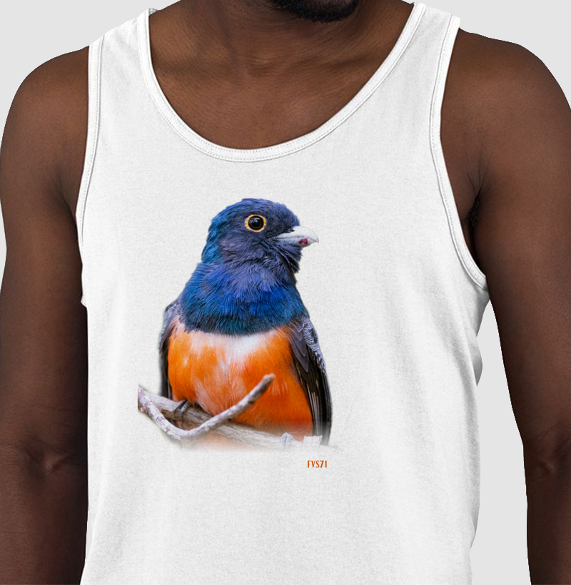 Camisa 0