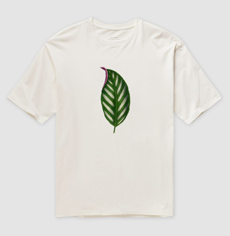Maranta Porteana