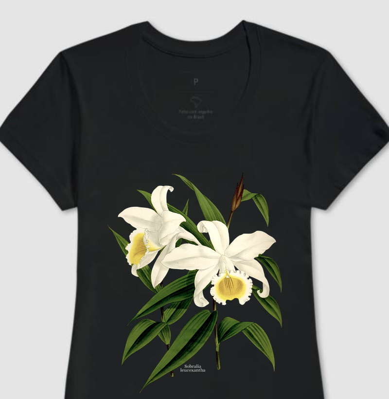 Camiseta Feminina Sobralia leucoxantha