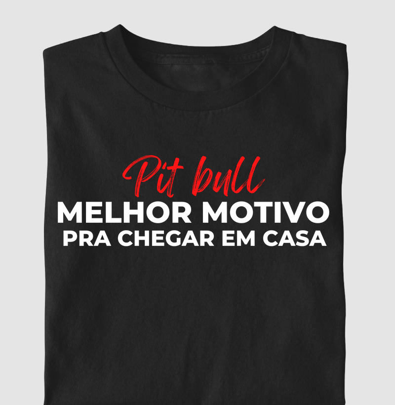 Pit bull melhor motivo pra chegar em casa