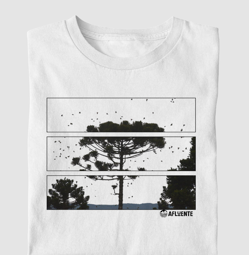 Frames de Araucaria
