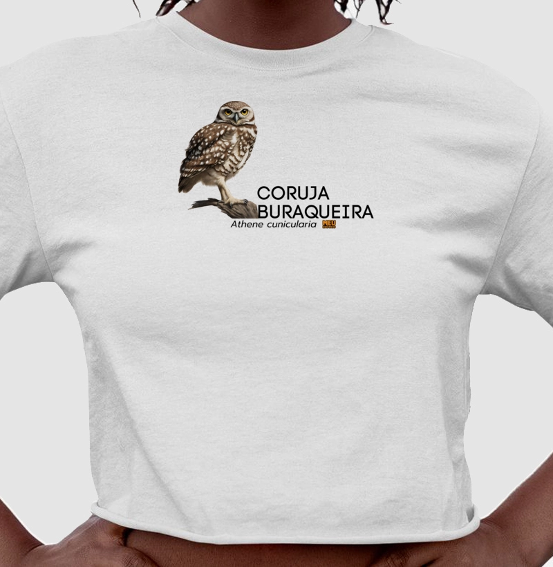 Coruja-buraqueira II