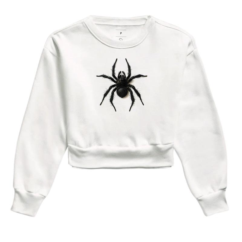 Aranha / Estratégia