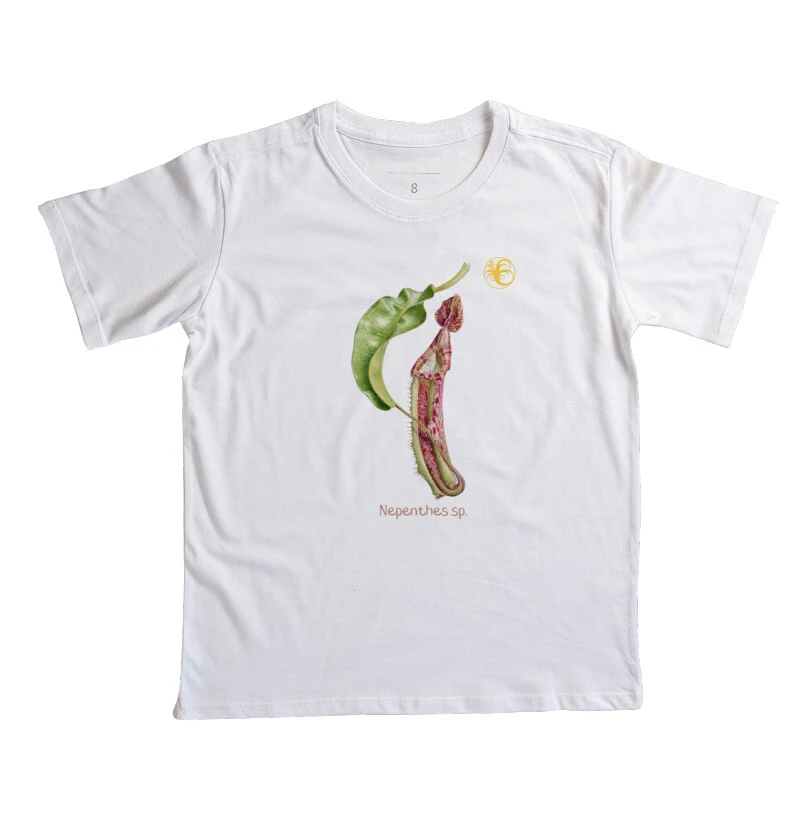 NEPENTHES IV