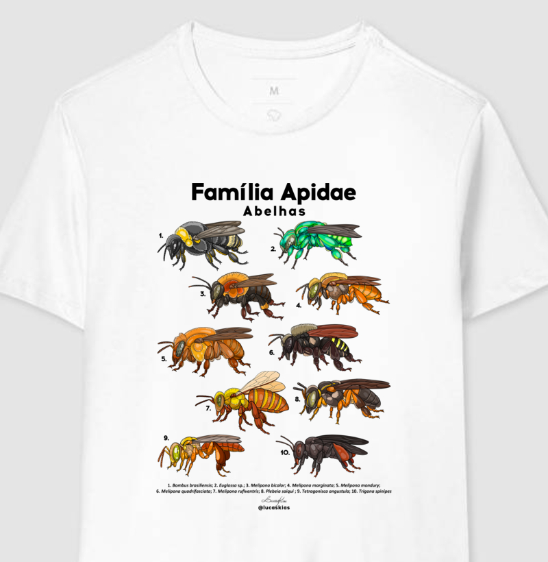 Família Apidae - Abelhas (Modelo A)