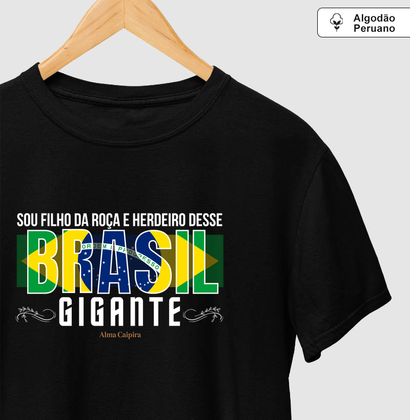 Sou filho da roça, e herdeiro desse Brasil gigante