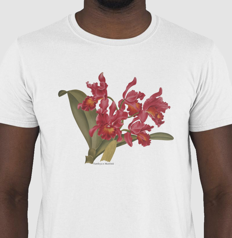 Camiseta (Tshirt) Cattleya x Mantinii