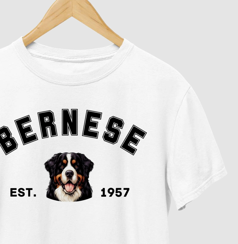 College - Bernese
