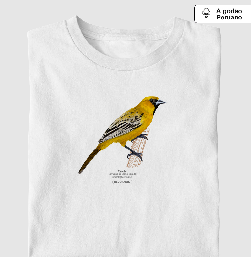 Traços Alados - Oriole - Algodão Peruano