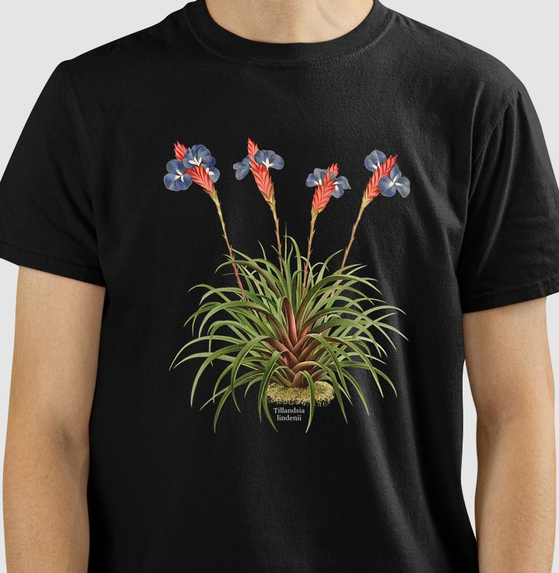 Camiseta Tillandsia lindenii