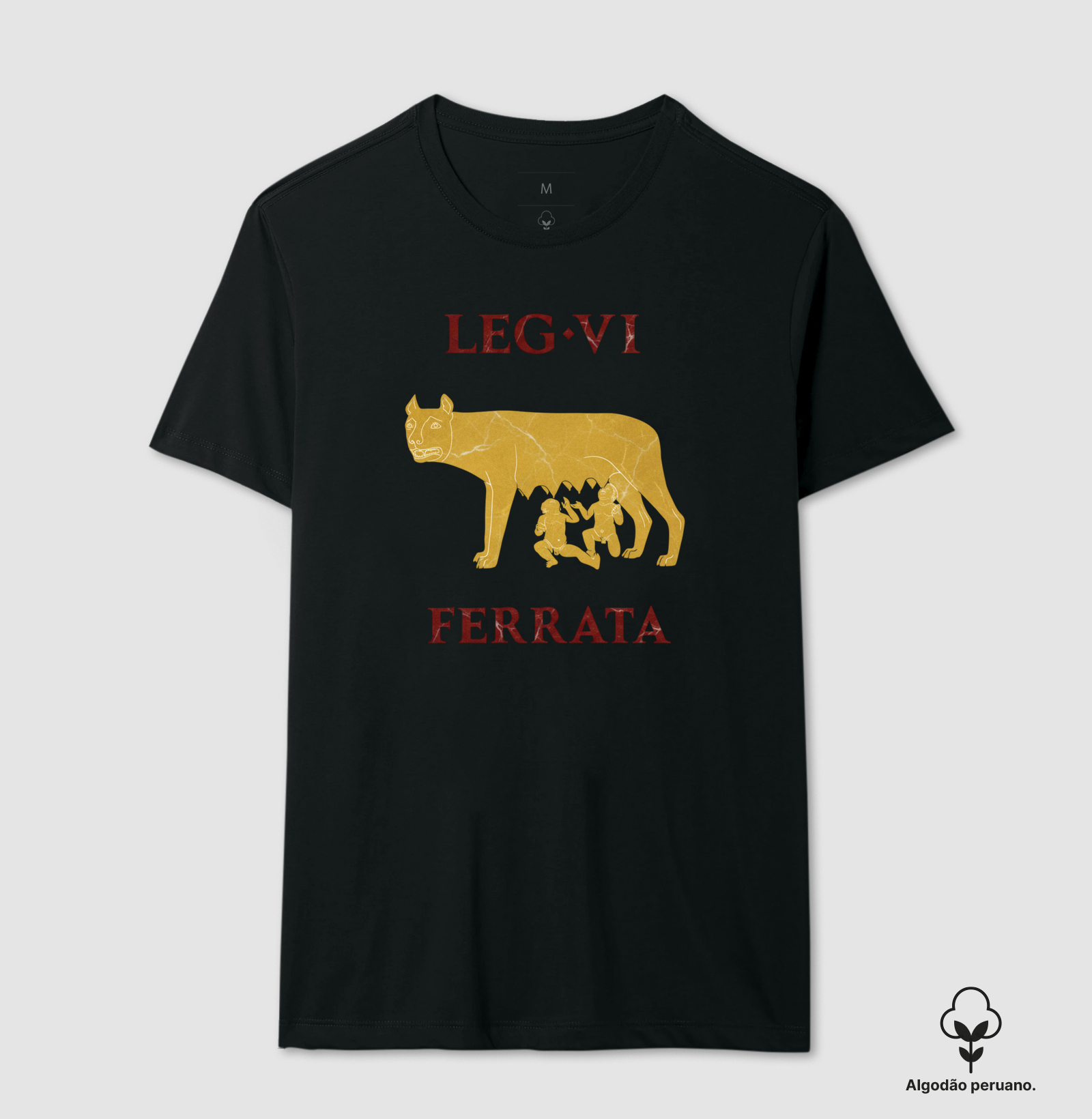 LEGIO — VI Ferrata