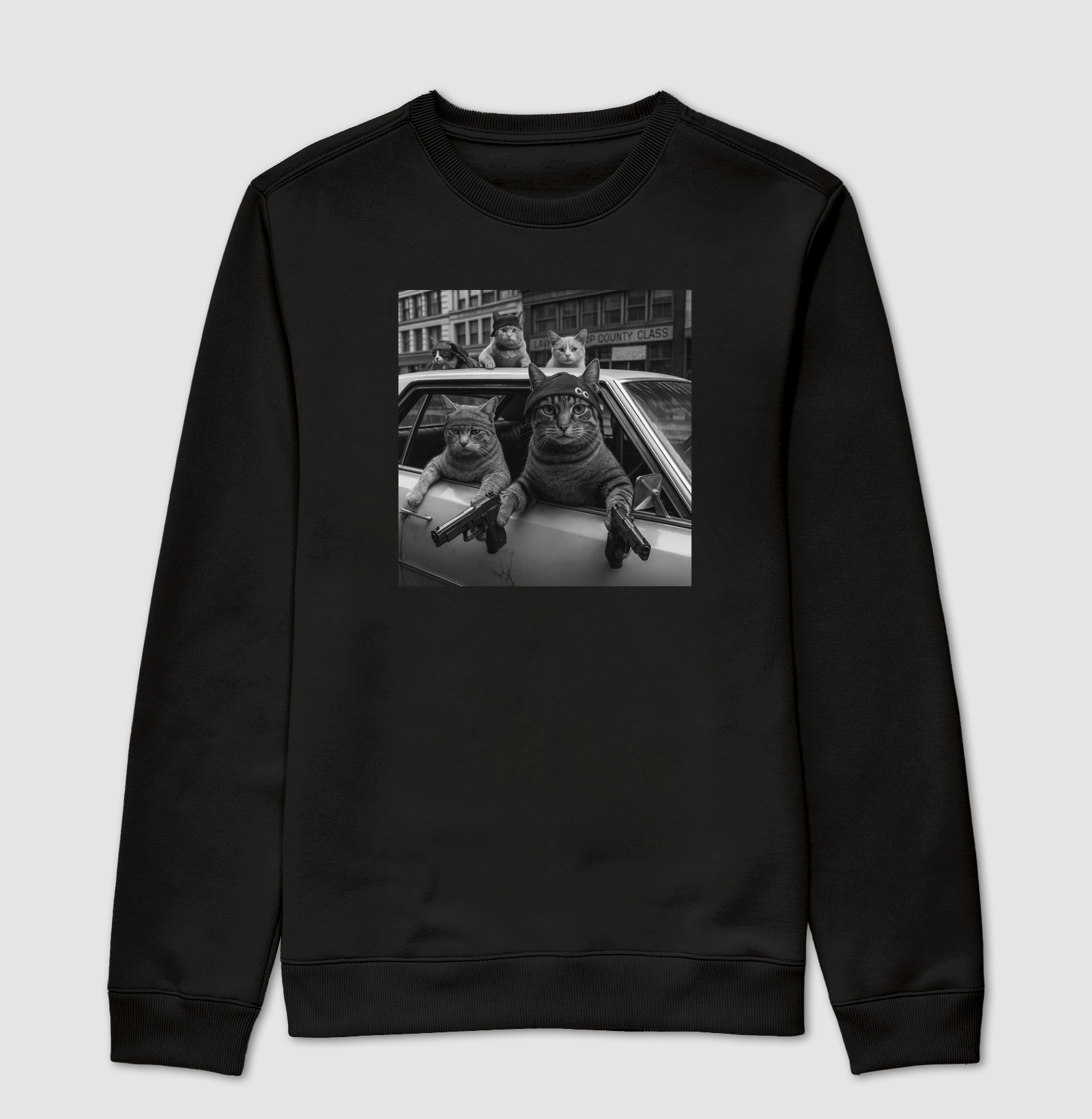 Gato Gangsta no Carro