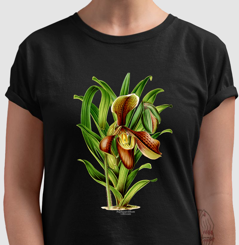 Camiseta Paphiopedilum villosum