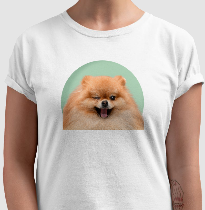 Lulu da Pomerânia Ursinho Fofo – Estampa Criativa e Cheia de Fofura | TODAY