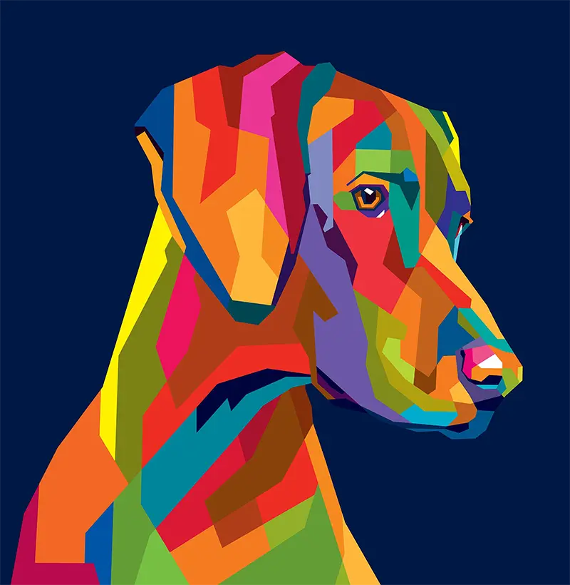Vizsla