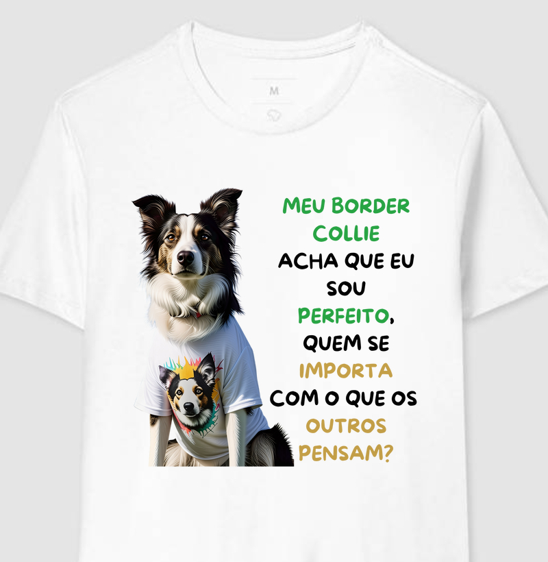Meu border collie acha que eu sou perfeito