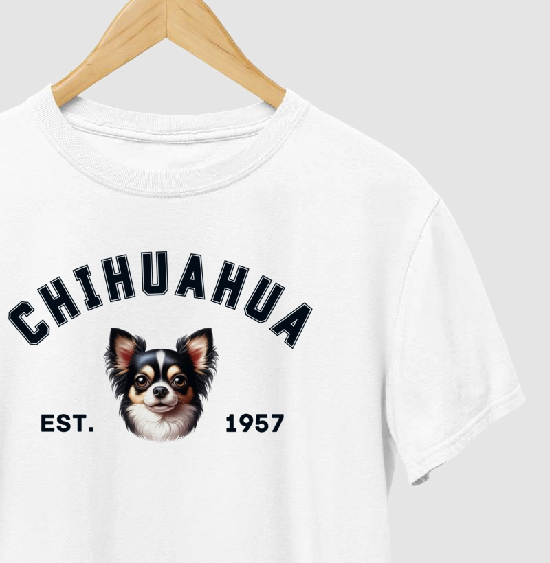 College - Chihuahua