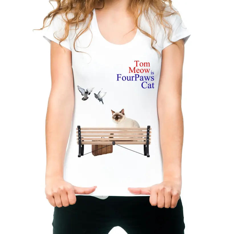 FourPaws Cat