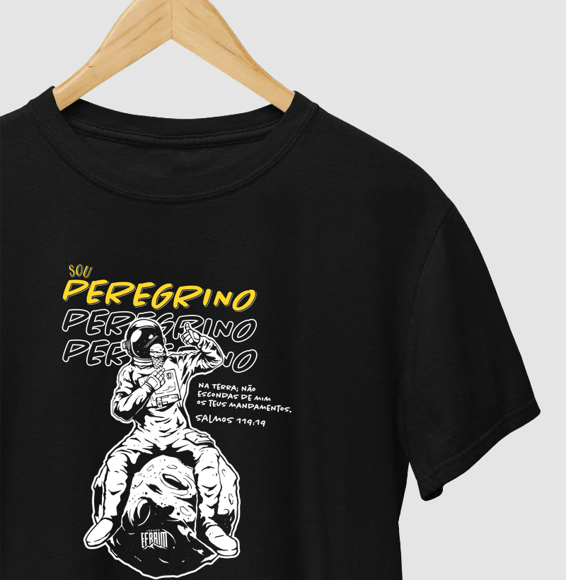 Sou Peregrino Na Terra