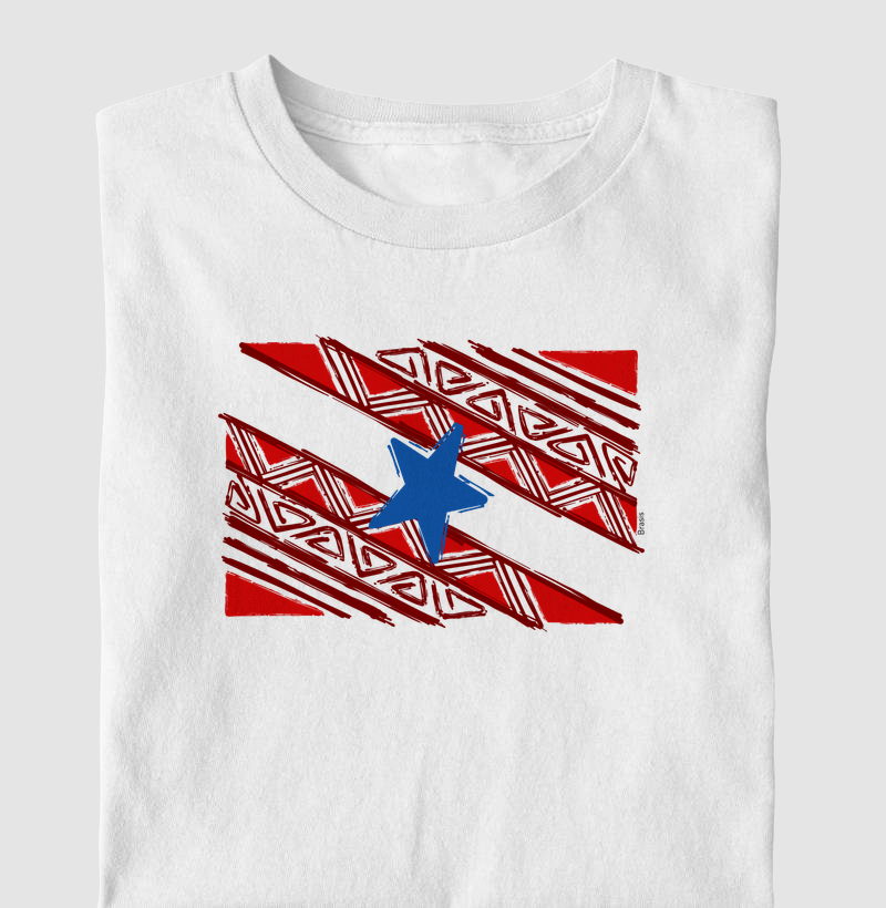 Bandeira do Pará Grafismo