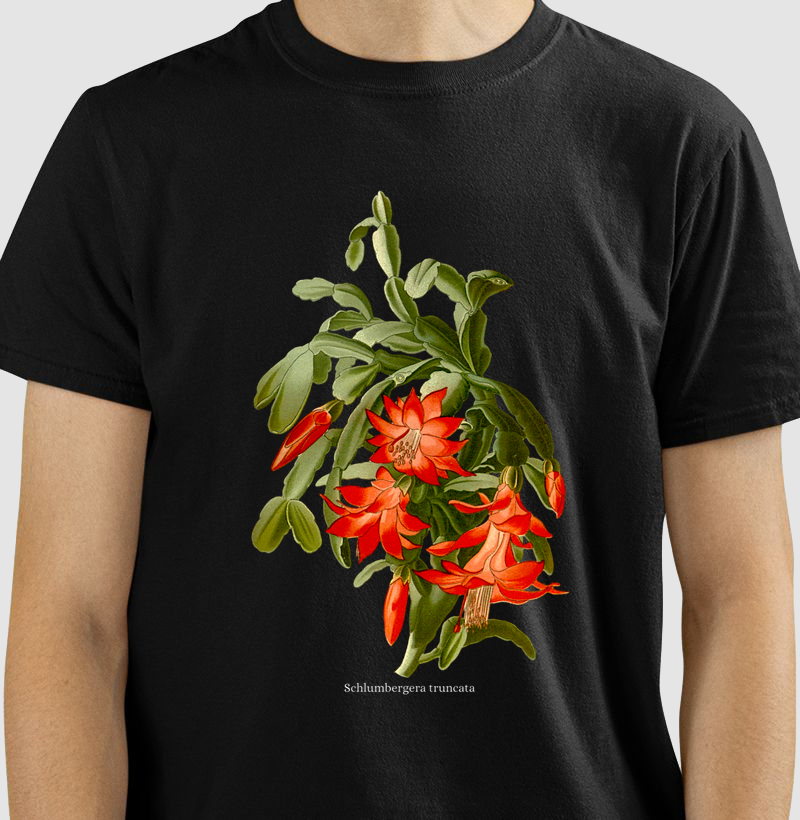 Camiseta Schlumbergera truncata