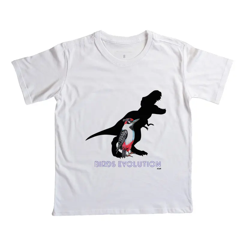 Birds evolution