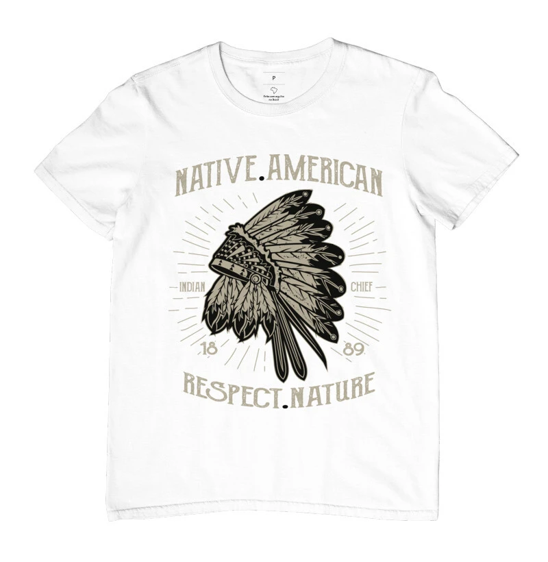 Native American 2