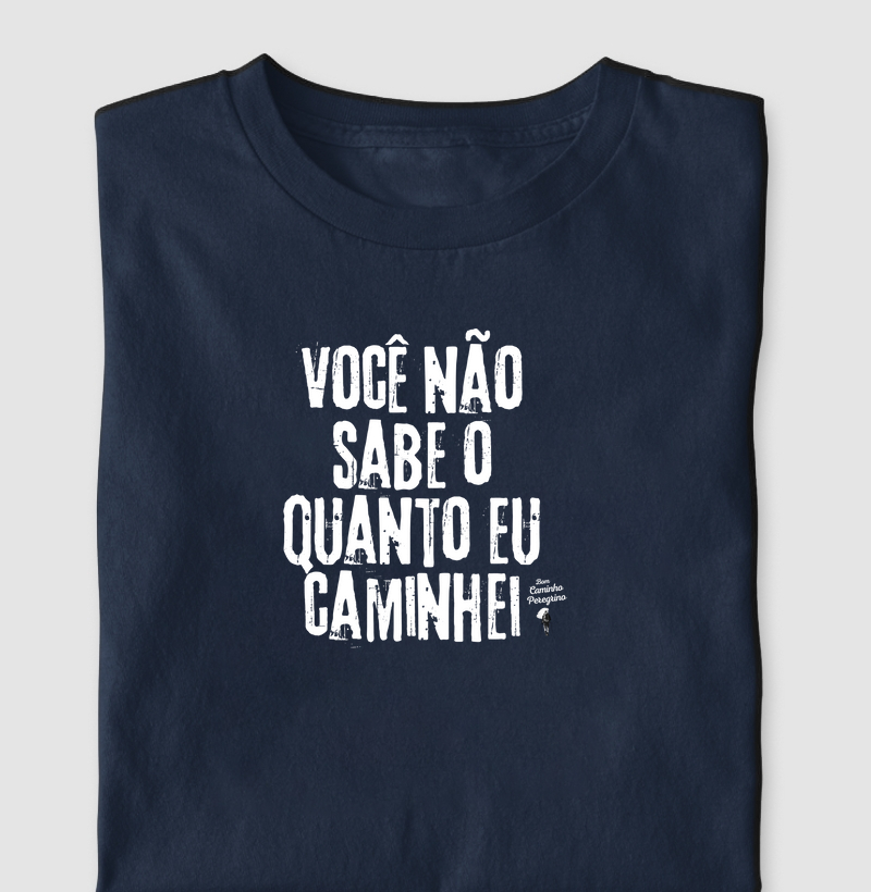 Você Não Sabe o Quanto Caminhei