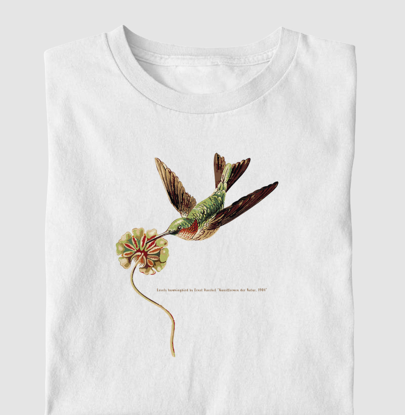 Ernst_Hummingbird A