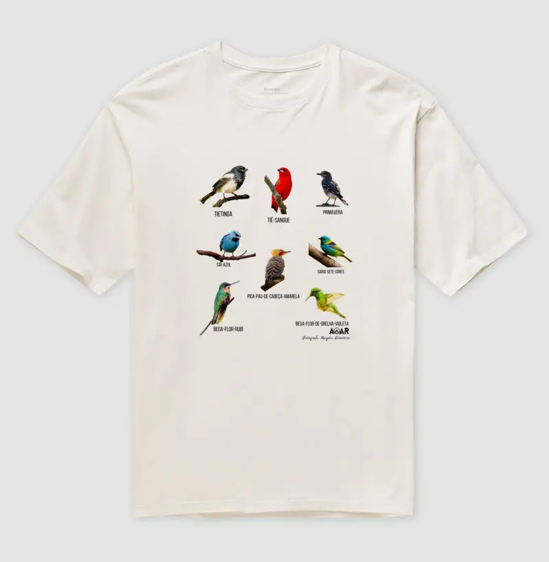 Aves da mata atlântica com Magela Eleutério