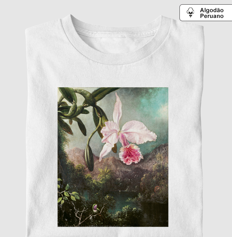 Orchid Blossoms