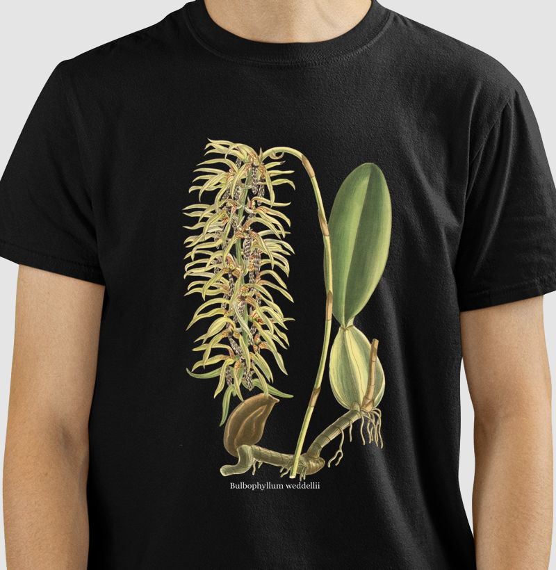 Camiseta T-shirt Bulbophyllum weddellii