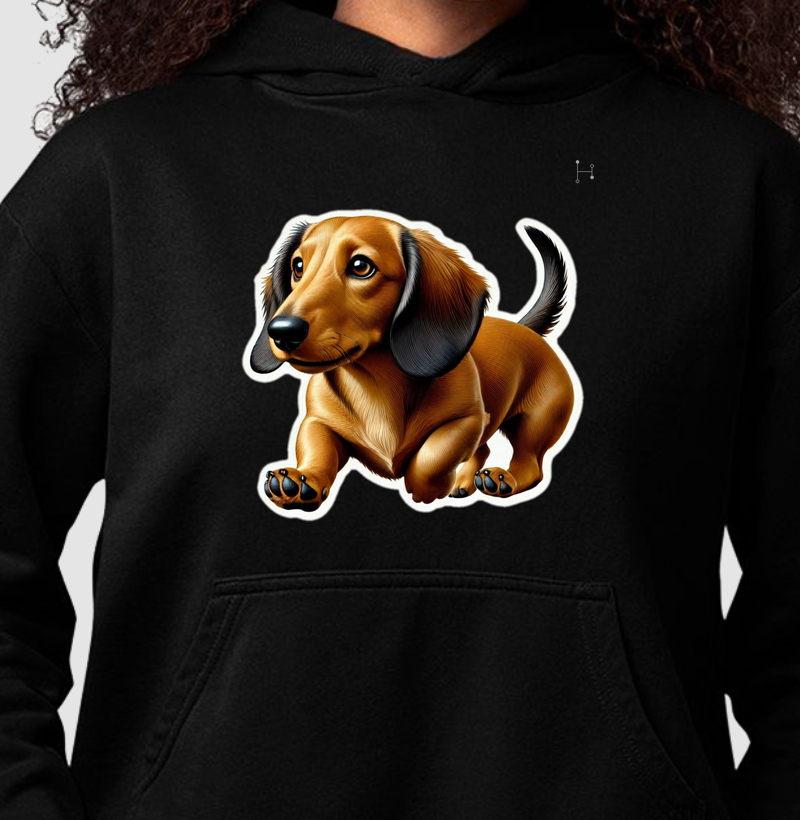 Dachshund 