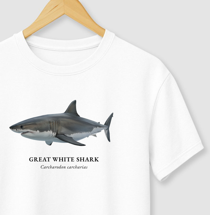 Great White Shark