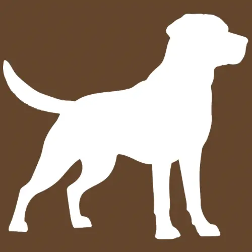 store logo