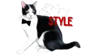 store logo