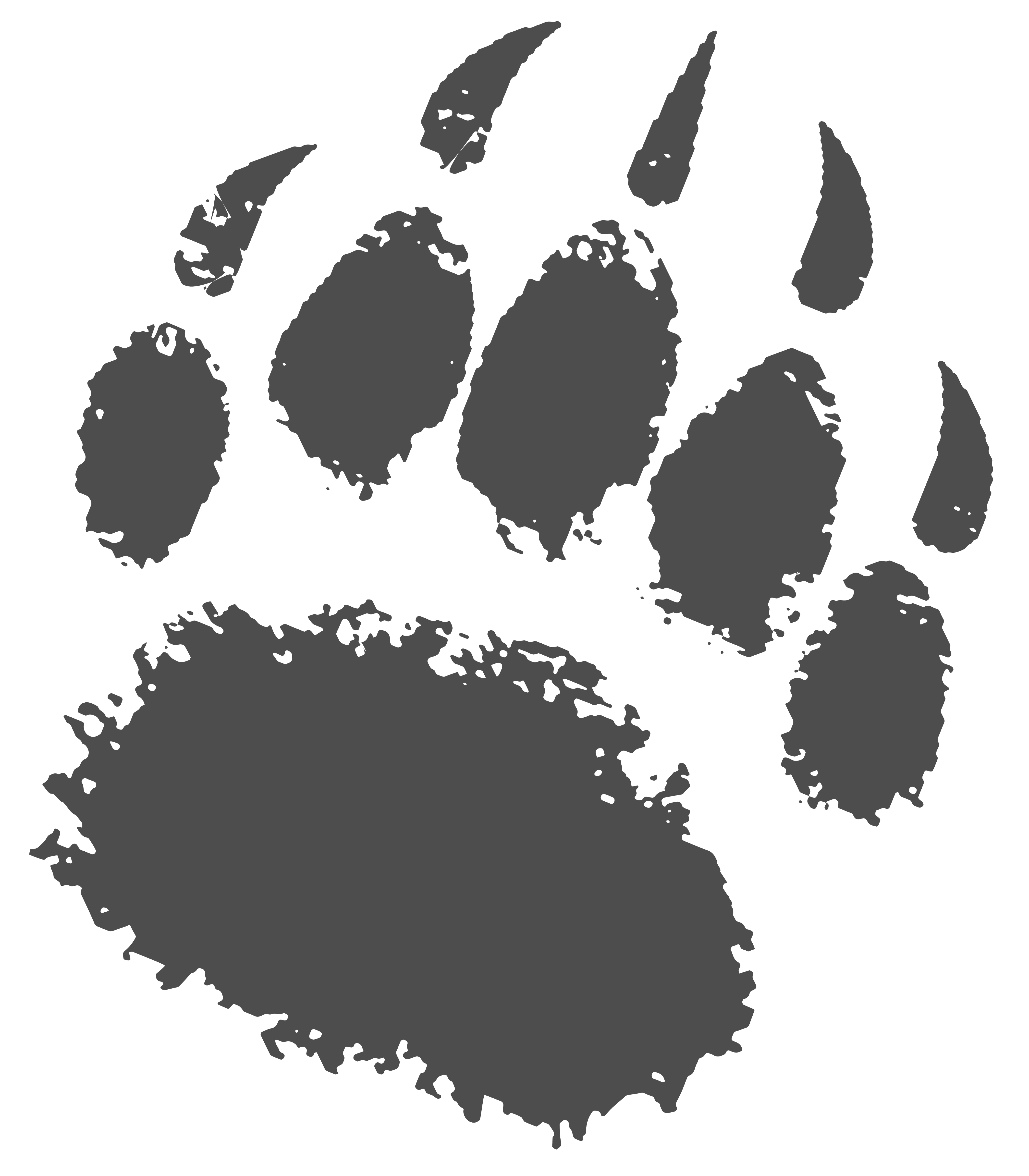 store logo