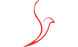 store logo