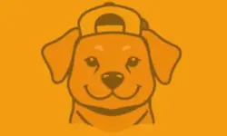 store logo