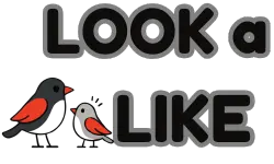store logo
