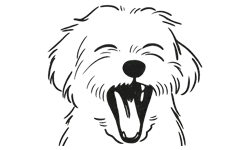 store logo