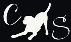 store logo